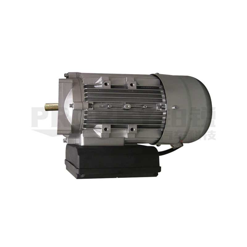 PULI 浦力 DD01002001221 電機(jī)