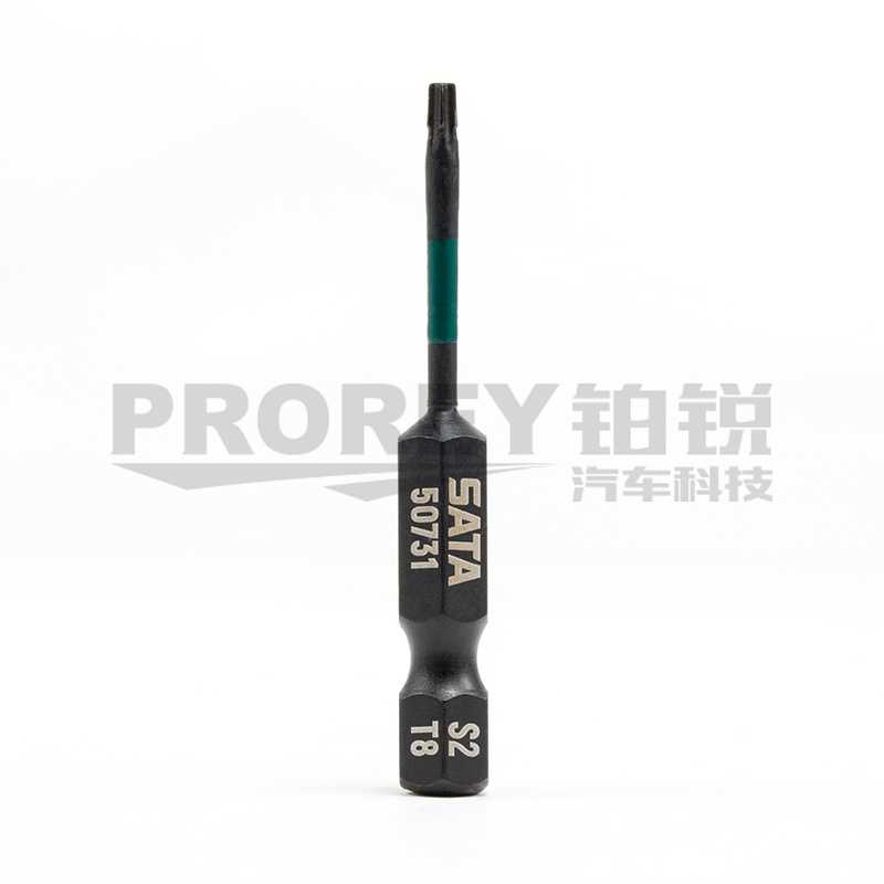 GW-130053234-世達(dá) 59731 10件套6.3mm系列50mm長(zhǎng)抗沖擊花形旋具頭 T8-2