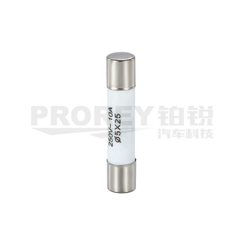 10A 陶瓷熔芯保險(xiǎn)絲管RO55