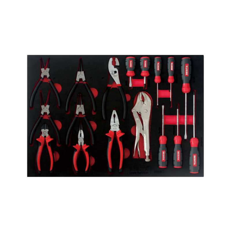 百思泰 6688C 17件鉗子螺絲批工具托組套